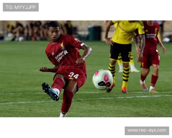 米特罗维奇：从青年才俊到欧洲顶级射手，职业生涯轨迹全解析